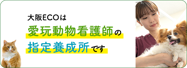 愛玩動物看護師の指定養成所になりました！