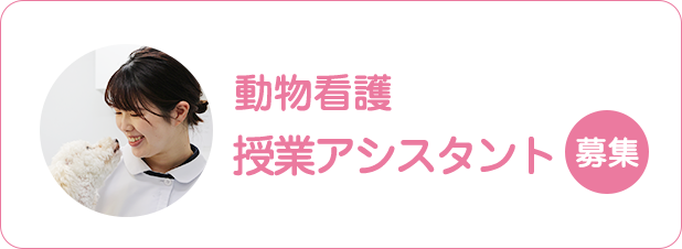 動物看護授業アシスタント募集