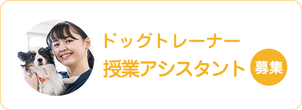 ドッグトレーナー授業アシスタント募集