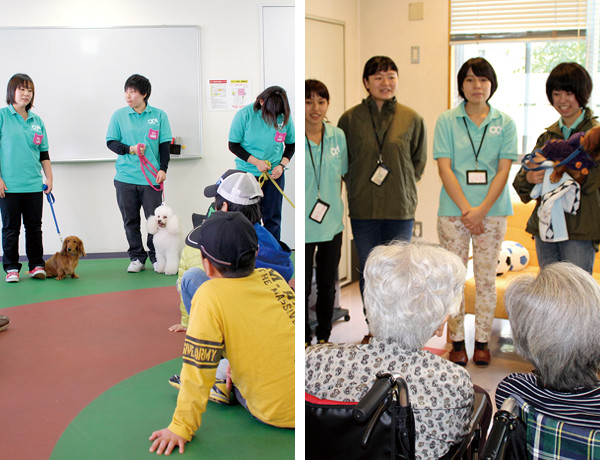 動物看護福祉＆理学療法専攻3年制