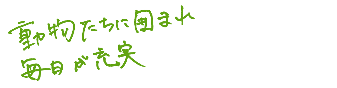 動物たちに囲まれ、毎日が充実