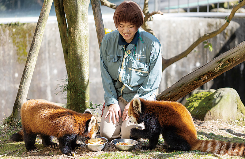 動物園飼育員 鹿児島市平川動物公園 卒業生インタビュー 大阪eco動物海洋専門学校 大阪エコ