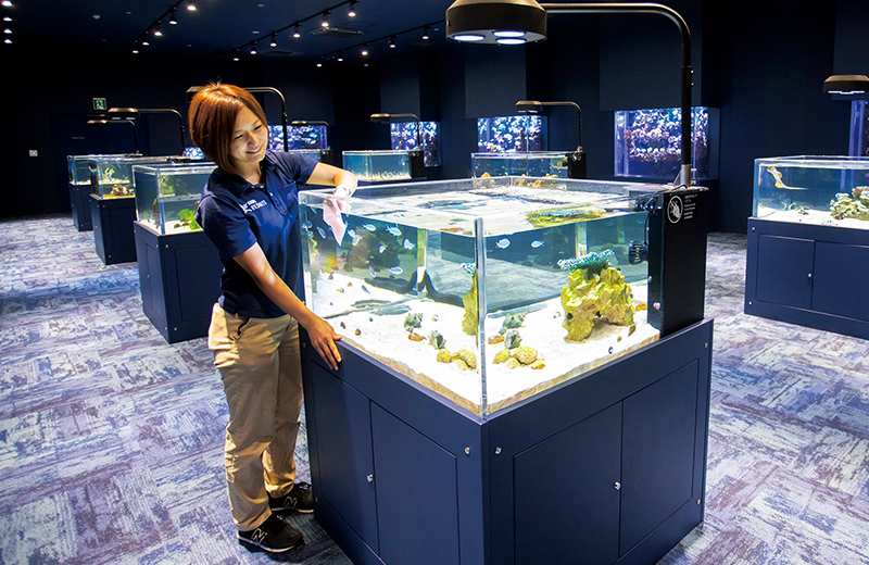 水族館 飼育 員 に なるには 高校