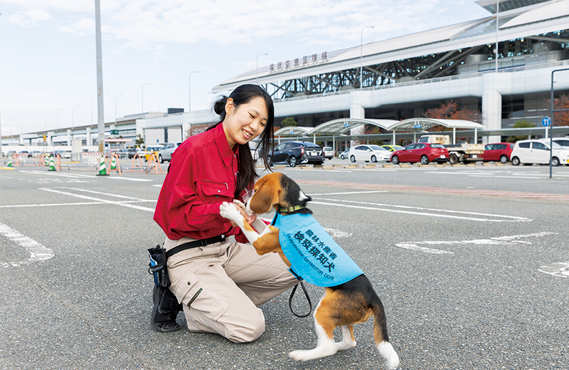 検疫 探知 犬 ハンドラー なるには