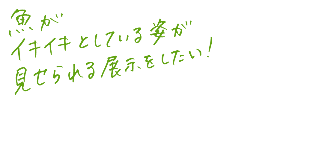 魚がイキイキとしている姿が見せられる展示をしたい！