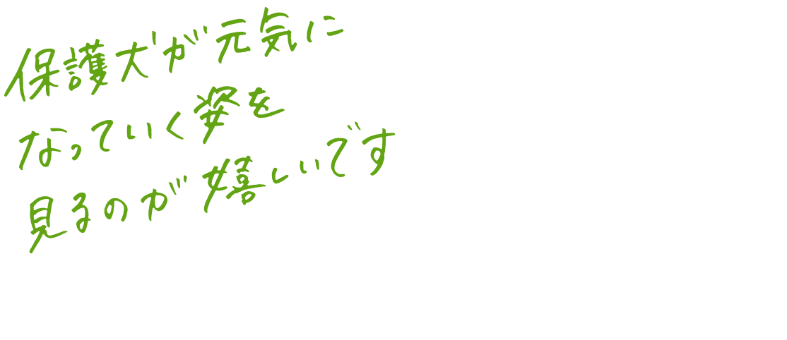 保護犬が元気になっていく姿を見るのが嬉しいです