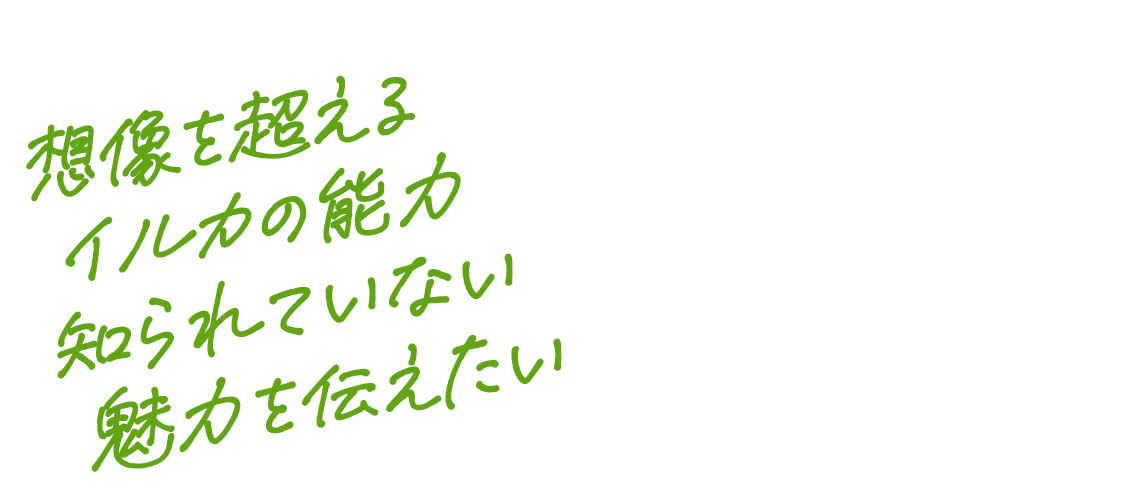 想像を超えるイルカの能力 知られていない魅力を伝えたい