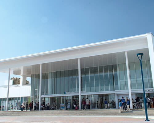 仙台うみの杜水族館