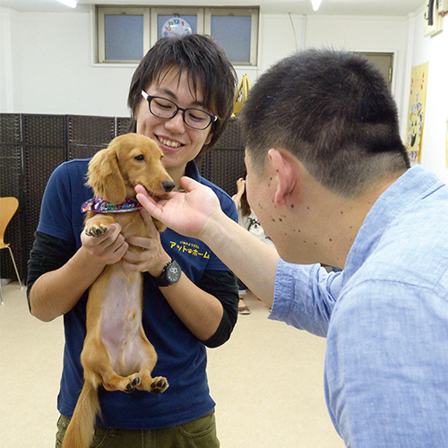 お迎えは田中さん自らが行う