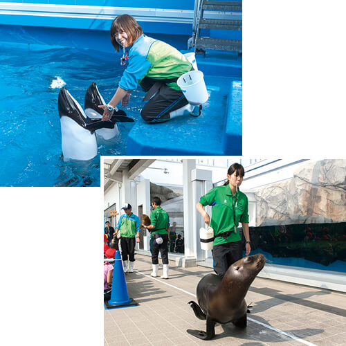 直接お客さまが動物たちをさわることができるフレンドリータイム