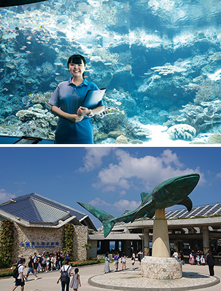 水族館スタッフ 海獣飼育員 沖縄美ら海水族館 オキちゃん劇場 発見 探検 プロの仕事場 大阪eco動物海洋専門学校 大阪エコ