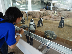 2京都水族館