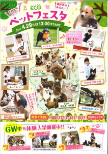 petfesta