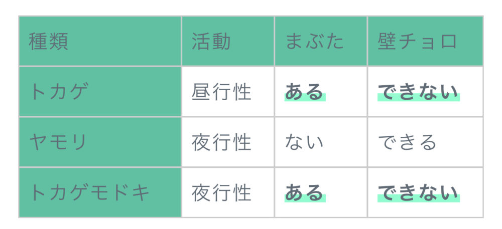 豹紋蜥蜴擬 動物飼育ブログ 動物 専門学校 大阪eco動物海洋専門学校 大阪エコ