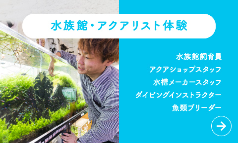 水族館・アクアリスト