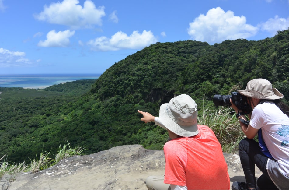 山から見える海を指差す人