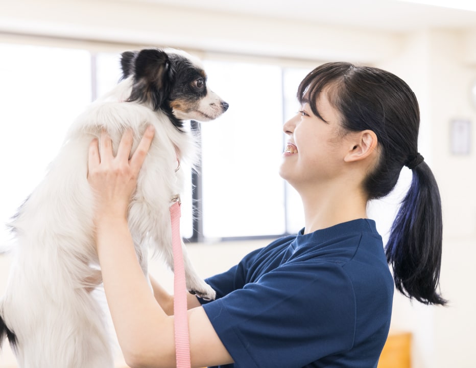 ワンちゃんを抱っこする学生