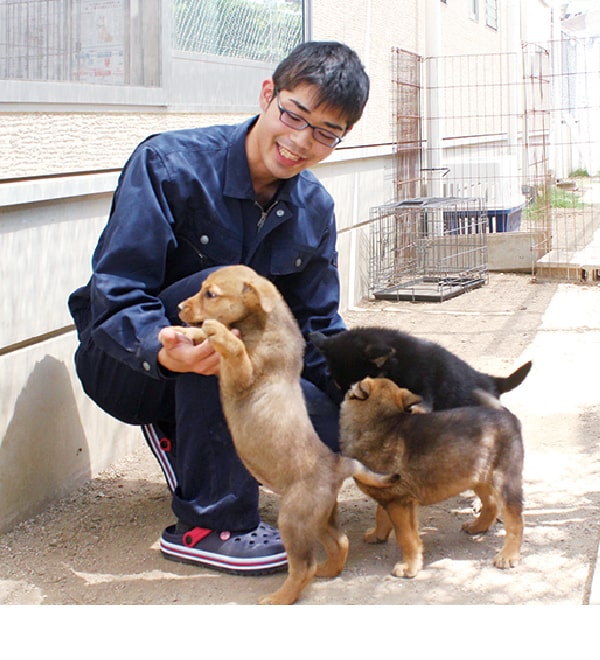 動物保護施設スタッフ