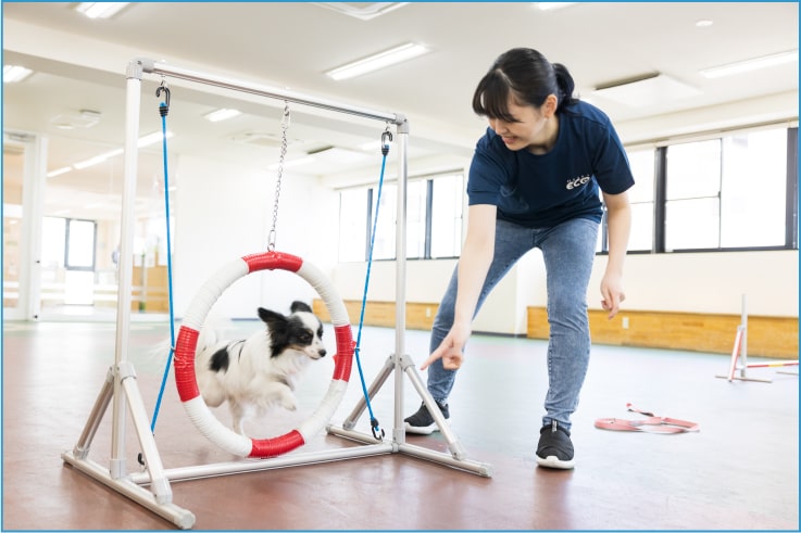 ドッグトレーニングをする学生