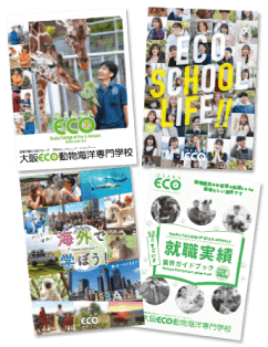 大阪ECOのパンフレット