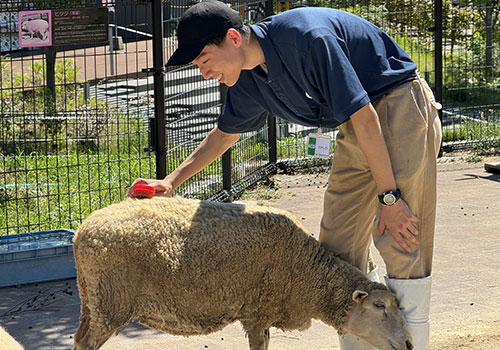 動物が暮らす演習実習室