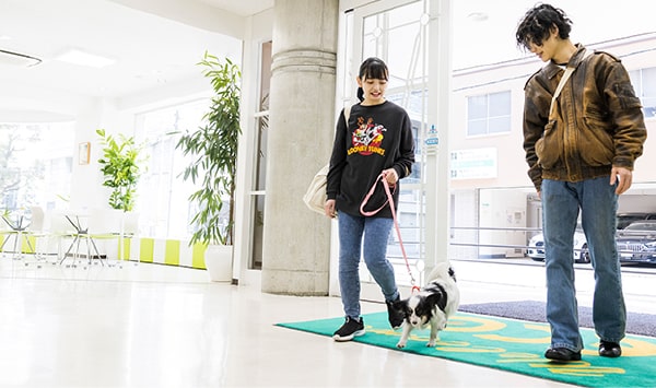 犬を散歩させる学生