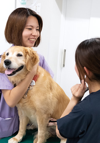 ファーブル動物医療センター　長谷川さん