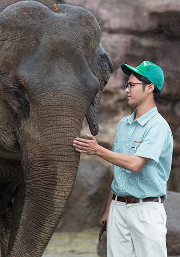 九州自然動物公園 アフリカンサファリ　福武さん